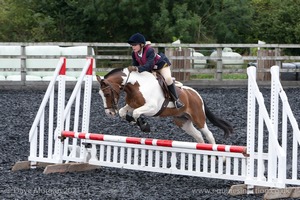 Class 3 -  Fences not above 2'3